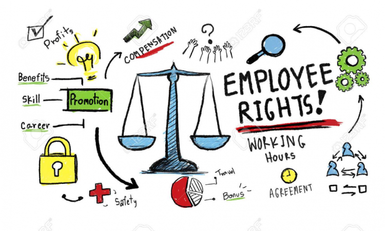 حقوق الموظف