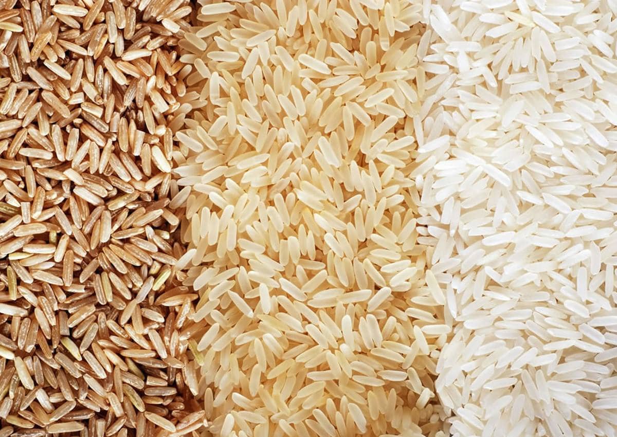 انواع الرز
